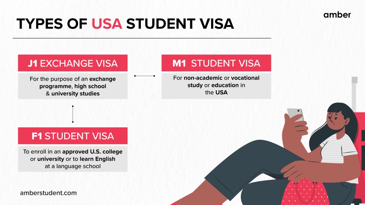 Want to Finance a Person with Student Visa for USA?