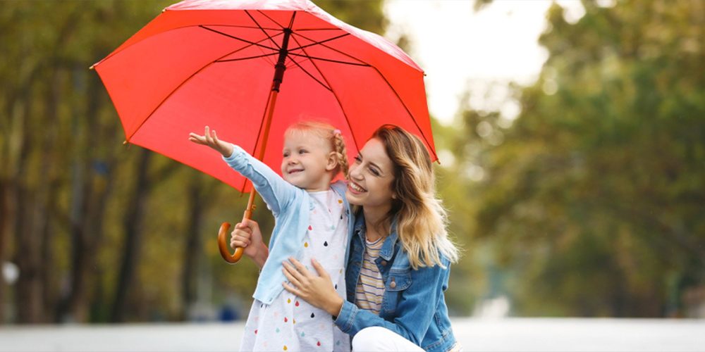 Car insurance rogersville