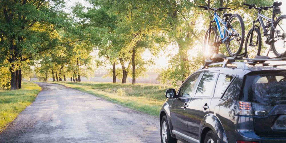 Car insurance rogersville