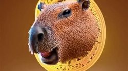 Capybara Nation Crypto Image