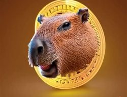 capybara nation crypto capybara nation crypto