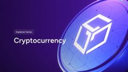 Gala Cryptocurrency News