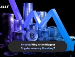 is cryptocurrency crashing