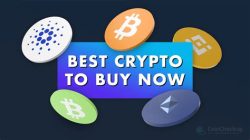What Crypto Can I Buy on Fidelity