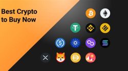 Crypto to Buy Now Reddit