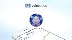 Capybara Nation Crypto Image