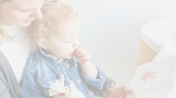 Parenting Coordinator Decision Maker Colorado At A Glance