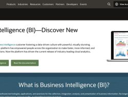 Business Intelligence & Analytics Software Overview
