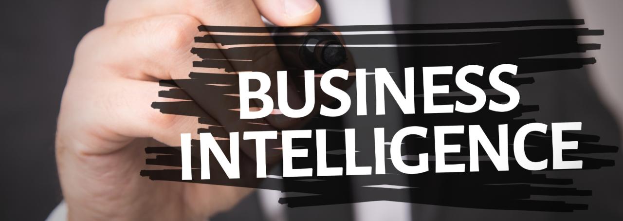 Masters of business intelligence