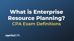 Enterprise resource planning development