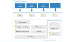 Credit decision software