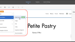 Ajo Offer Decisioning In The Evolving Translation Field