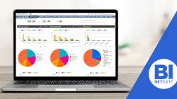 Netsuite business intelligence