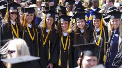 Snhu Computer Science Degree Review Insights And Overview