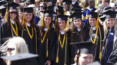 Snhu Computer Science Degree Review Insights And Overview