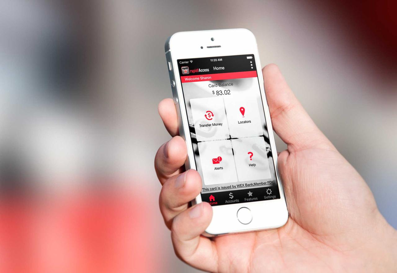 Speedy Cash Payment Login | semashow.com Speedy Cash Payment Login | semashow.com