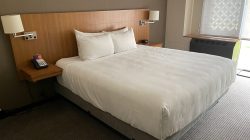 Hotels That Accept Cash Payments For A Hassle-free Stay