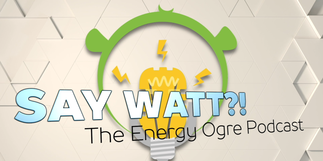 Mobile App - Energy Ogre