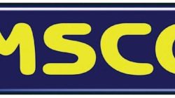 Amscot cash advance payment