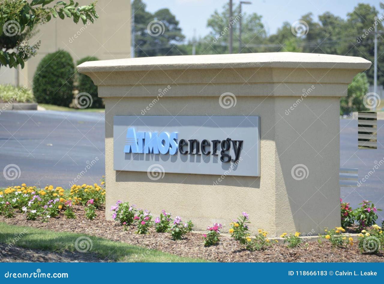 Atmos energy for business