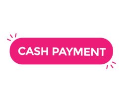 Cash Store Payment Portal Your Gateway To Easy Transactions