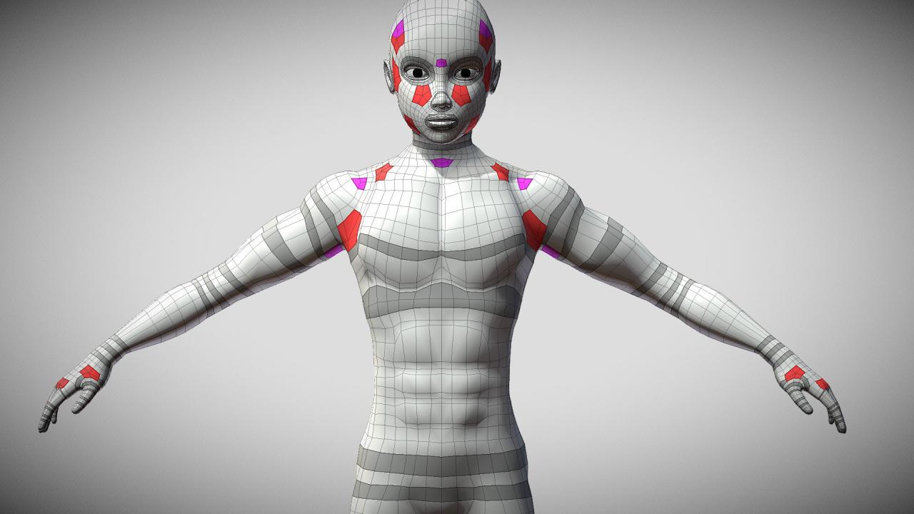 3d Topology Female Topology Body Topology - vrogue.co 3d Topology Female Topology Body Topology - vrogue.co